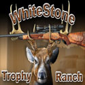 Texas Whitetail Hunting Ranch