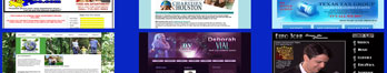 Web Design & Development