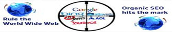 Web Design & Development